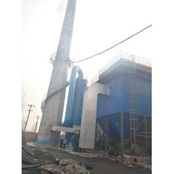 工廠環(huán)保除塵設備 廣東環(huán)保除塵設備 山成鍋爐